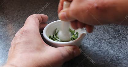 In a porcelain mortar, parts of plants are crushed