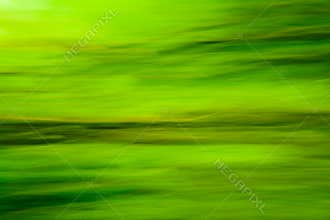 Nature green blur