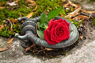 Crypt Cover With Rose