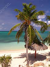 Coco Beach