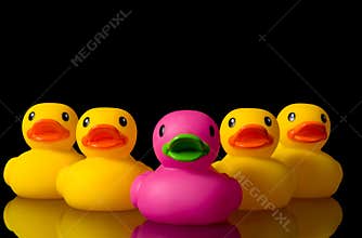 Dare to be different - rubber ducks on black