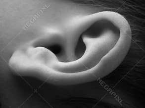 Close-up of child ear