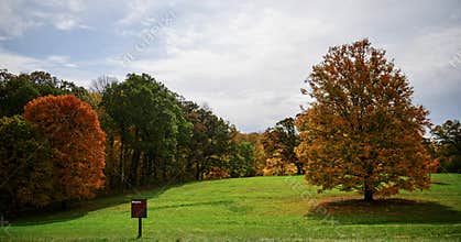 Morton Arboretum Fall Foliage #8