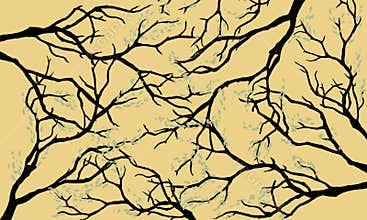 Tree Branches Background Autumnal