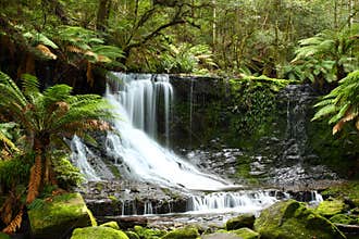 Russel Falls Mt Field National Park, Tasmania, Aus