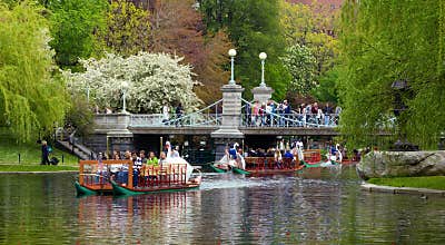 Boston Public Garden in the Spring