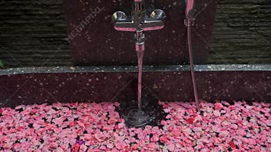 Spa, warm water is pouring into the bath with rose petals