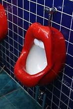 Toilet bowl