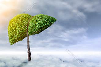 Realistic liver images are human green tree shapes about diseases and cirrhosis environment