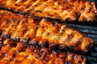 BBQ Pork Ribs on the Grill