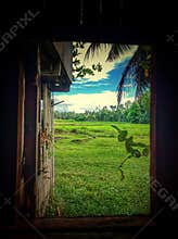 Nature view from a window of a rural house