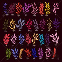 Set of Vector botanic illustrations clipart