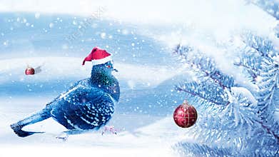 Christmas fabulous image. A dove in a santa claus hat decorates a Christmas tree in a winter magic forest. New Year card.