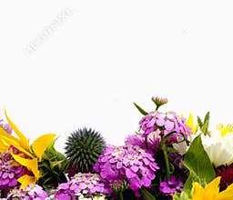 Flower border