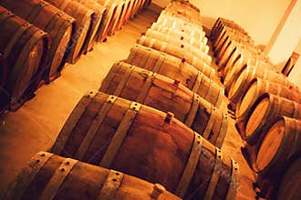 Wine Cellar