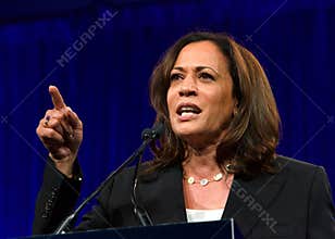 Presidential Candidate Kamala Harris at the DNC Summer meeting
