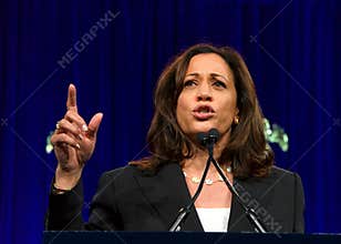 Presidential Candidate Kamala Harris at the DNC Summer meeting