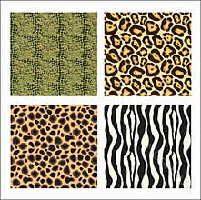 Animal prints