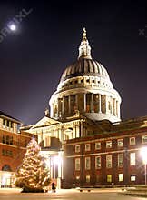 St Paul's Christmas Tree