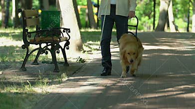 Man with visual impairment walking in park with his specially trained dog, help