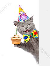 Happy cat in birthday hat with cupcake holding a pointing stick and points on empty banner. isolated on white background