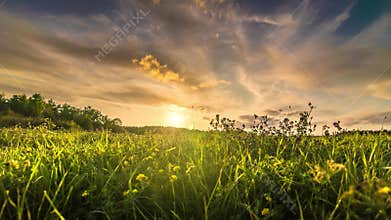 Grass field at sunset time lapse