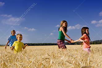 Children in Barley Field