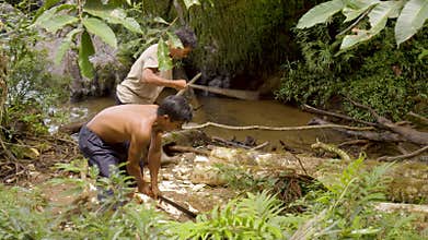 Man cutting log in forest