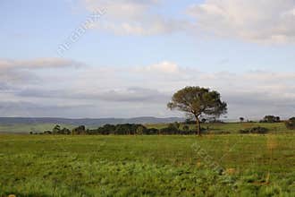 African Landscape