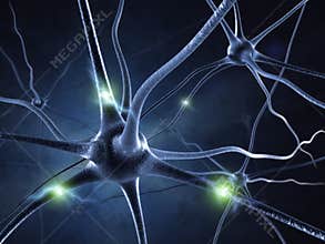 Active nerve cell
