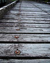 Old Timber Bridge