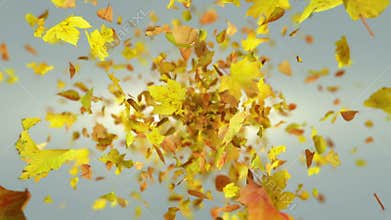 Exploding autumn leafs background