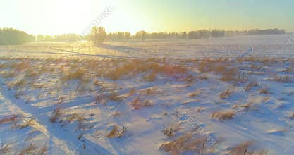 Aerial drone view of cold winter landscape with arctic field, trees covered with frost snow and morning sun rays over