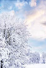 Romantic winter