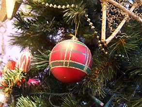 Bauble on Christmas tree