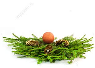 Christmas tree branches