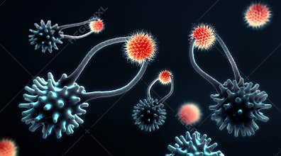 Cytotoxic T cells search and destroy mutated cancer cells