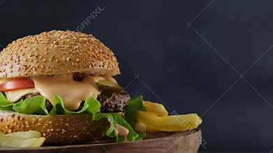 Burger with french fries