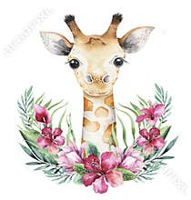 A poster with a baby giraffe. Watercolor cartoon giraffetropical animal illustration. Jungle exotic summer print.