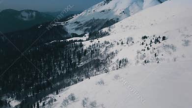 Tilt up amazing natural valley covered by white snow and dense forest trees aerial shot