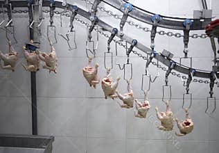 Food industry