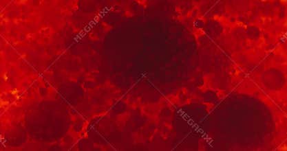 Small red blood cells in fluid