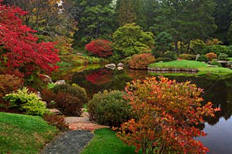 Asticou Azalea Garden