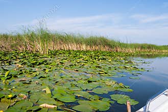 Wild danube from little boat