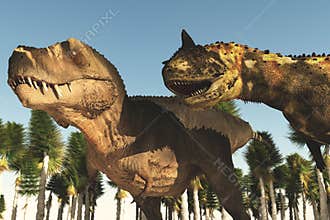 Predatory dinosaur