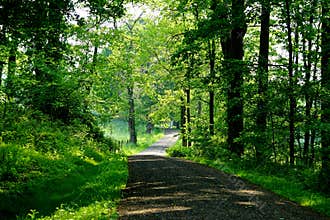 Carriage trail  at the Rockefeller State Park Preserve