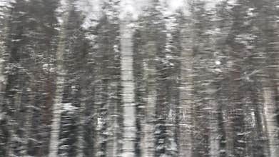 Winter forest snowy road trip, car window view of scenic landscape in Europe, travel panorama and nature scene