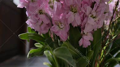 Pink flora and green leaves in vintage vase.