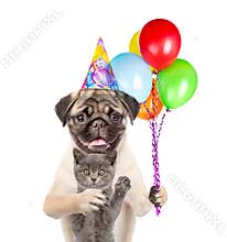 Cat and Dog in party hat holding balloons. isolated on white background