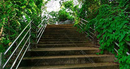 Concrete staircase in abandon park